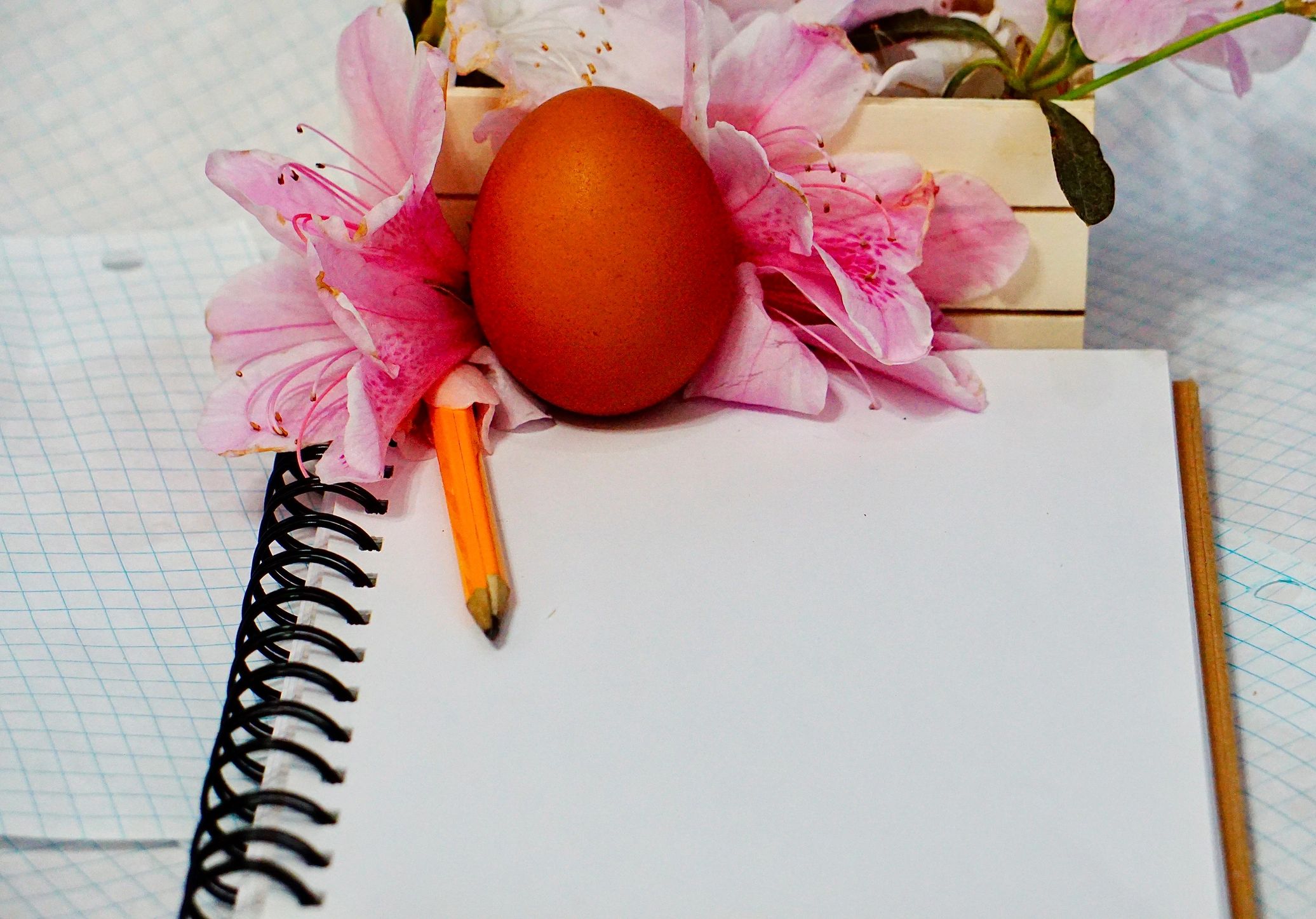 Notebook and pencil arranged as a creative writing workspace